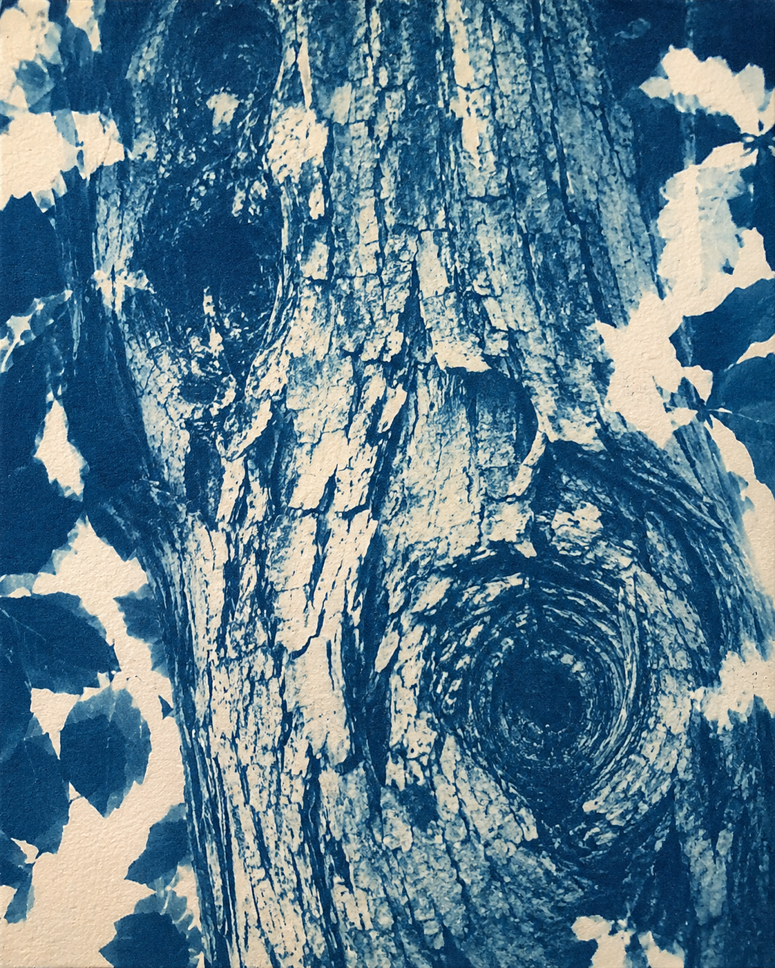 "L'Oeil du Tronc" — Tableau encadré 100 x 150 cm – Image 2