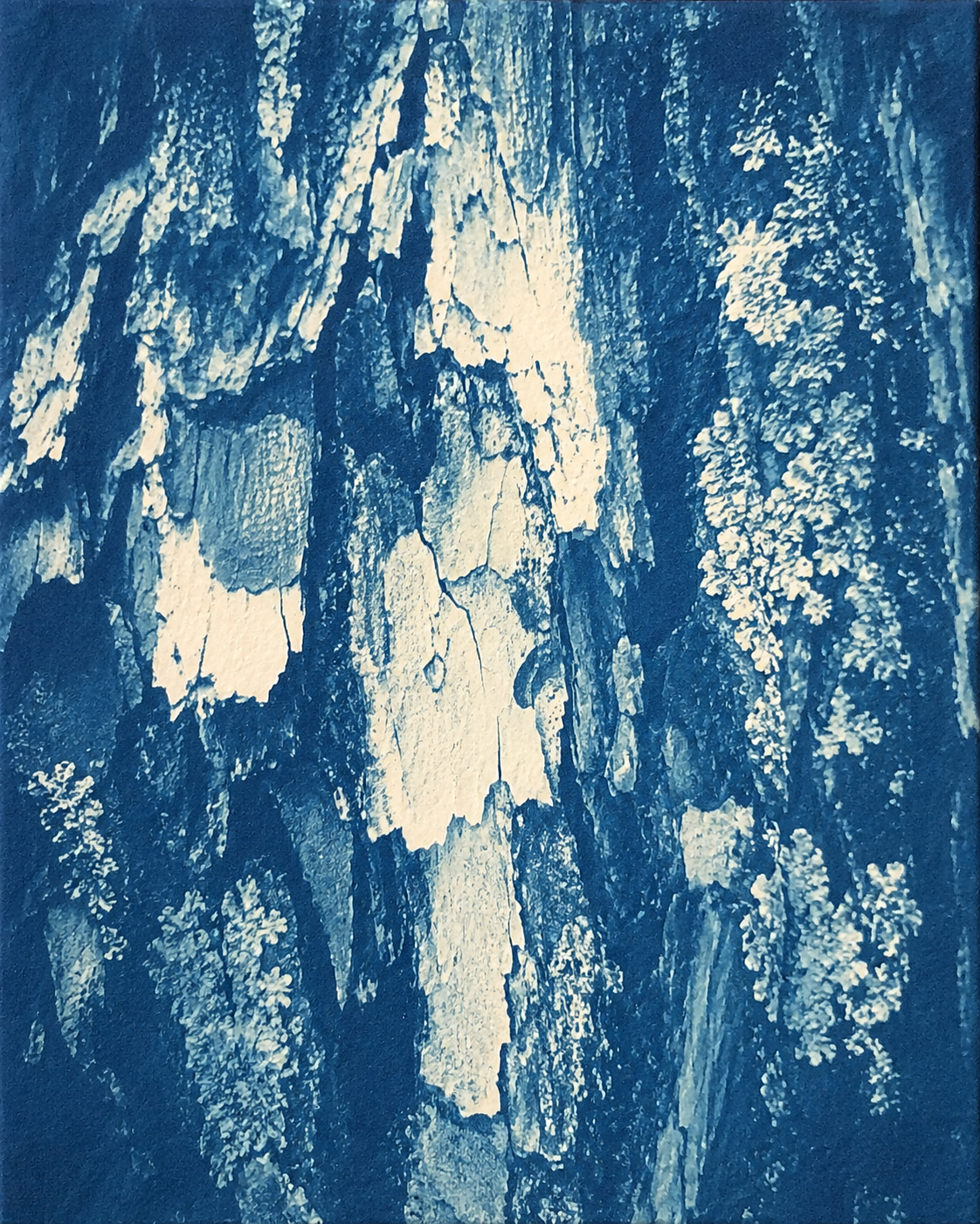 "Empreinte d’Écorce" Tableau encadré 100 x 150 cm – Image 3